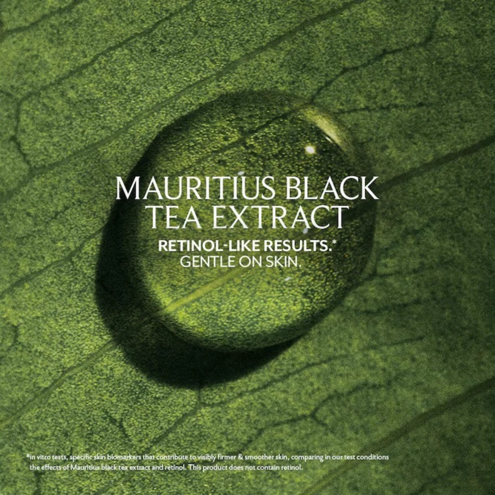 NEW Fresh black tea renewal serum full size retails $82 - Picture 5 of 7